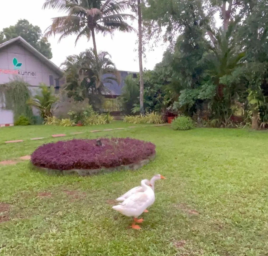 Clouds Village Farm Resort Thodupuzha 인도