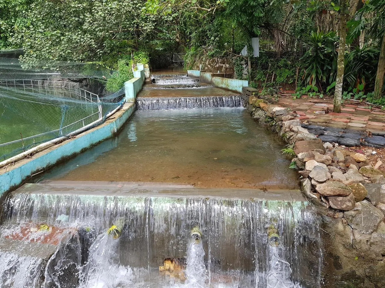 Clouds Village Farm Resort Thodupuzha 인도