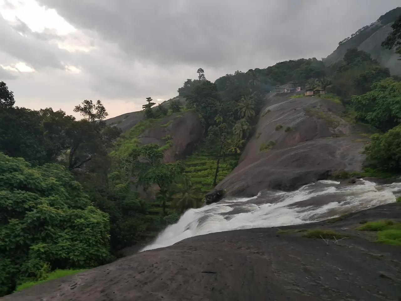 Clouds Village Farm Resort Thodupuzha 0*,  인도